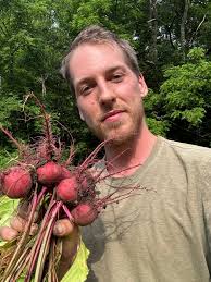 Garlic Harvest Experiences and Tips