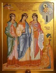 Image result for Menodora