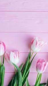 Hottest Screen Tulip Fondos Popular Extended Reside The Tulip Flower This Pa Extende Flower Phone Wallpaper Flower Wallpaper Flower Background Wallpaper