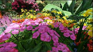 We were delighted by responses which covered terrain from the gardens of iceland to the desert of the sahara. 4k Beautiful Landscape Of Flower Garden And Nature Around Us Youtube