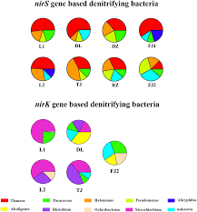 Pie Chart Showing The Distribution Pattern Of Denitrifying