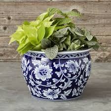 Indoor Plant Pots Decorative Indoor Planters Williams Sonoma
