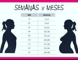 Calculadora Gestacional De Meses Para Semanas Embarazo Seguimiento De Embarazo Consejos Para El Embarazo Etapa De Embarazo