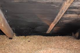 Image result for site:byggahus.se Ekofiber