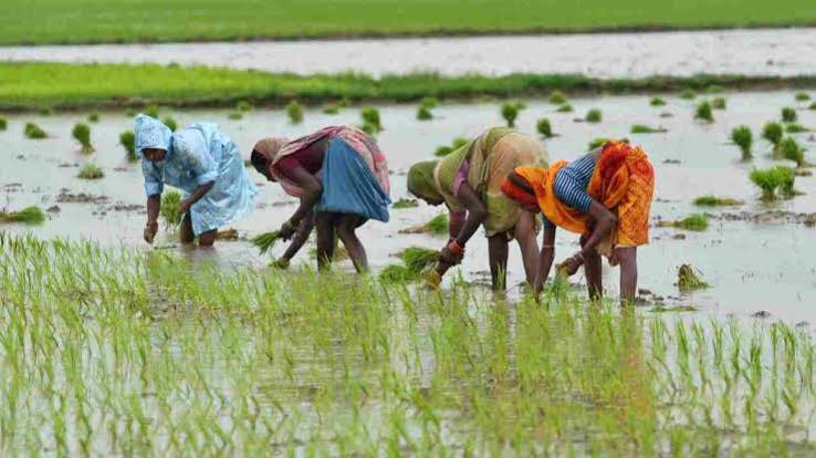 images?q=tbn:ANd9GcTTfdWm9ehlBXkWbJqMuqdnTYAw3t6Z ntri1VdVLfsqw&s=10