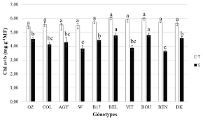 Des protéines similaires existent dans le diagnostic de maladie cœliaque est suspecté cliniquement et par les anomalies biologiques évoquant une malabsorption. Pigments Photosynthetiques Enzymes Antioxydantes Phytoprotection Erudit