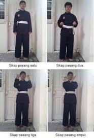 Bahkan disetiap wilayah indonesia memiliki sebutan tersendiri bagi olahraga pencak silat ini, misalnya pencak, silek, silat dan sebagainya. 37 Teknik Dasar Pencak Silat Beserta Gambar Olahragapedia Com