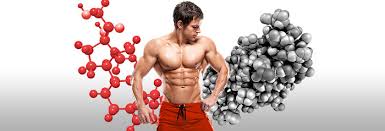 Do you need a genetic test for strength training? Good Vs Bad Genetics In Bodybuilding Which Do You Have Spotmebro Com