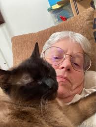 Episcopal Cats With Problems