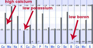 Duped By Vitamin D What Low Levels Can Really Reveal