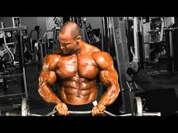 gain muscle bodybuilding program mp4