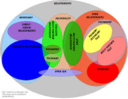 Open Relationship Vs Poly Polyamory Com Forum