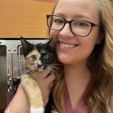 As someone who frequently contacts Chewy first, they tell me the vet hasn't  approved the prescription almost every single time. Then I contact the vet  and they tell me they did approve