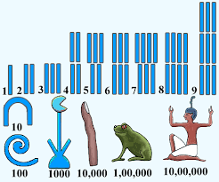 Egyptian Numerals Ancient Numbers