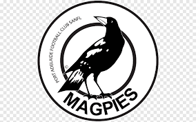 The official account of the collingwood football club. Port Adelaide Football Club Adelaide Oval Collingwood Football Club Australian Rules Football Afl Logo Logo Fauna Png Pngegg