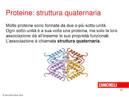 Classmill Lo Studio Della Vita Le Molecole Biologiche