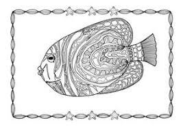 Top 25 fish coloring pages for preschoolers: Angelfish Adult Coloring Page Favecrafts Com