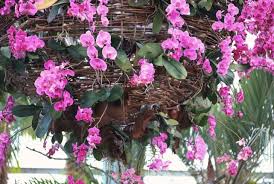 Low light or indirect light. 15 Extraordinary Houseplants That Can Survive The Harsh Winter Cold Conserve Energy Future