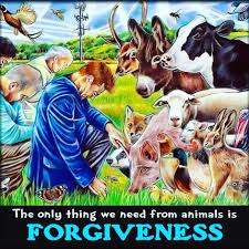 Vegan Cooking For Beginners On Instagram Did You Know That More Than 200 Million Animals Are Killed For Food Around The In 2020 Animal Abuse Animals Vegan Animals