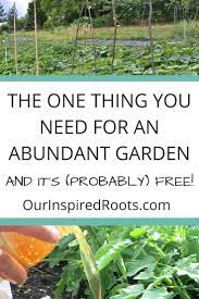 How To Make Organic Fertilizer Manure Tea Or Compost Tea Recipe Organic Gardening Pest Control Organic Gardening Tips Organic Vegetable Garden