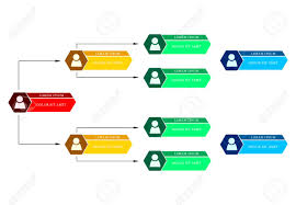 Colorful Business Structure Concept Corporate Organization Chart