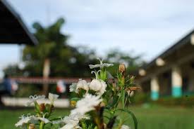 Perfil de IPT Abel Tapiero Miranda