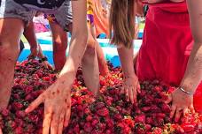 Stanthorpe Berry Festival