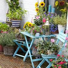 Floral expert, myles brown, of perennial gardens garden center in bedford, n.y., shares his top 10 annuals for a garden that bloom with color here were his selections. Patio Plants For Container Gardens High Country Gardens