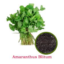 Image result for Amaranthus blitum
