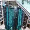Discover the amazing underwater world of the berlin zoo aquarium, with the largest number of species in the world. 3
