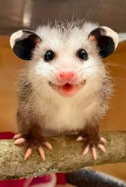 Great Photography 🥰🥰