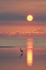 Top 10 Sunrise Around The World Mail Man Beautiful Sunset Nature Photography Ocean Sunset