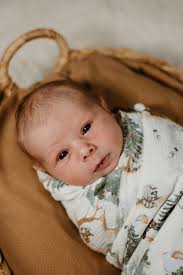 The cutest little guy 🥹 he was such a happy easy going baby for his debut  photoshoot ❤️