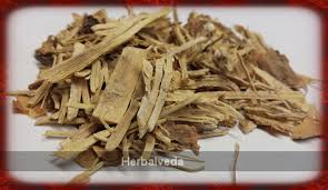 Image result for Cocculus hirsutus