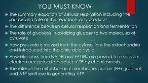 What are the reactants for cellular respiration glucose and oxygen Cellular Respiration Fermentation Ppt Download
