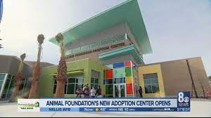 Our dream at vegas pet rescue project is to positively impact the las vegas homeless, abused and abandoned pets that overwhelm our shelter system by giving them a new lease on life. Pet Adoption Center Opens In Las Vegas The Animal Foundation