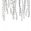 Rose vintage background vintage flower watercolor flower and leaves flower pencil floral compositio floral drawing hand draw flower black and white wallpaper vintage pattern ink drawing flowers. 1