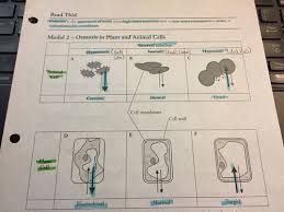 We did not find results for: Transport In Cells Wkst Flashcards Quizlet