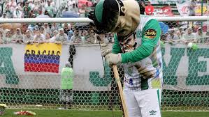 Interactive map and pictures of chapecoense home ground arena condá; Fans Pay Homage To Chapecoense Heroes Cnn