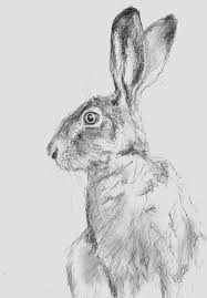 Pin By Milena On Drawing Inspirations Animal Drawings Pencil Drawings Of Animals Animal Art