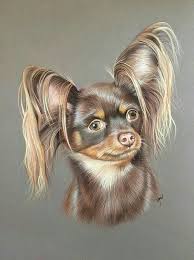 Pin Van Djamshida Bekova Op Sobaki Risunok Honden Terrier Schilder