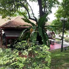 Taman bandaran kelana jaya 11 km. Fotos En Kedai Kopi Taman Rekreasi Indah Tasik Shah Alam Persiaran Masjid Seksyen 14 Shah Alam