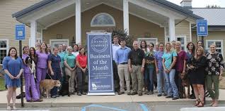 The letter states that dr. Chamber Recognizes Thomasville Animal Hospital Local News Timesenterprise Com