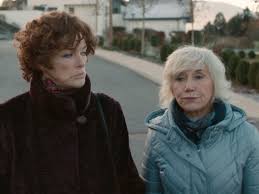 Elle est capitaine de police, il est commandant de gendarmerie. Prime Video Le Tueur Du Lac Saison 1