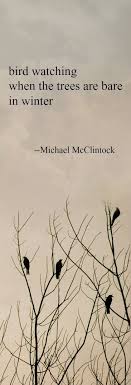 Haiku Poem Bird Watching By Michael Mcclintock To Be Said Forms Of Poetry Haiku Und Poetry