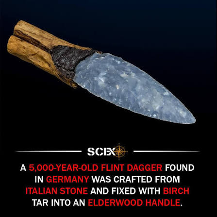 An extraordinary 4,800-year-old Neolithic axe has just been pulled from the  depths of Lake Constance in Switzerland, boasting a level of preservation  that has left researchers absolutely stunned. While most ancient tools