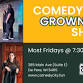 ComedyCity Grown-Up Show event image
