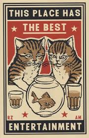 Pin On Stuff And Things