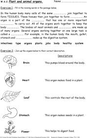 Printing is not something that is recommended for children. Ks3 Science Revision Worksheets Pdf Free Download