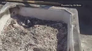We did not find results for: Police Investigating Reported Human Remains Found In Fiesta Island Fire Pit On Thursday Cbs8 Com